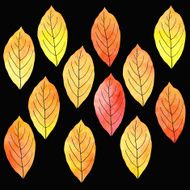 set of silhouettes by leaves in watercolor N8