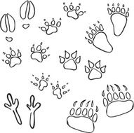 vector silhouette of different animal tracks