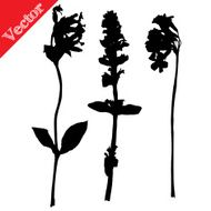 Set illustration with wild flowers silhouettes isolated on white N2