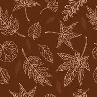 vector silhouette of various leaves N3