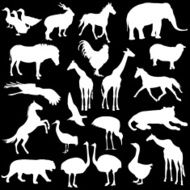 set silhouettes zoo animals N3