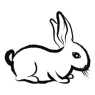 Bunny illustration N2