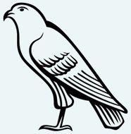 Eagle sketch