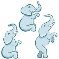 Elephant in various poses