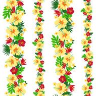 hibiscus repeats N24