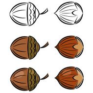 Cartoon set of vector images hazelnut and acorn eps10