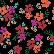 hibiscus repeats N28