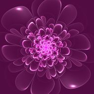 Beautiful purple flower Computer generated graphics