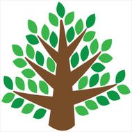 Tree isolated on a white background N2