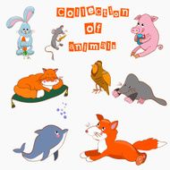 The collection of animals cartoo