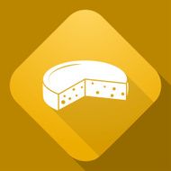 Vector icon of Cheese with a long shadow