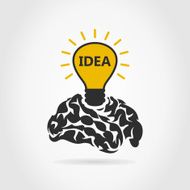 Idea of a brain
