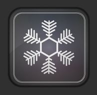 Vector version Snowflake icon Eps 10 illustration Easy to edit N5