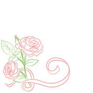 sketch with a rose and ribbon N2