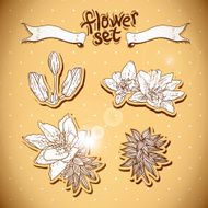Vintage background with flowers N6