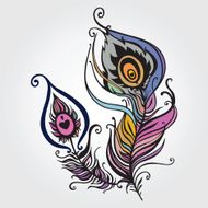 Beautiful peacock feather N3