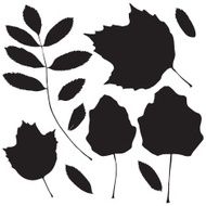 Collection of leaf silhouettes N4