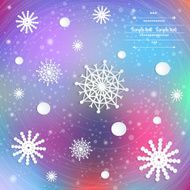 Winter decor N21