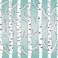 Forest N47