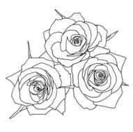 Roses N89