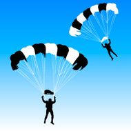 Skydiver N11