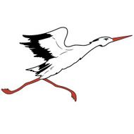 White Stork N7