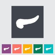 Pancreas flat icon