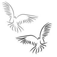 Doves N9