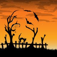Halloween N489