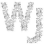 alphabet Letter WJ N2