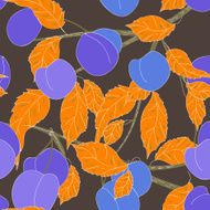 fruits background N17