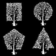trees N57