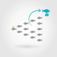 Flight of fishes N2