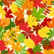 Seamless pattern with colorful autumn leaves Vector illustration N3