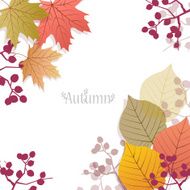 Beautiful seasonal Background with autumn leaves and berries