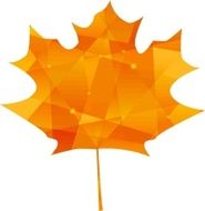 Autumn maple leaf