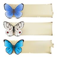 Butterfly banners N3