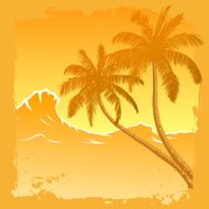 Palm Trees N34