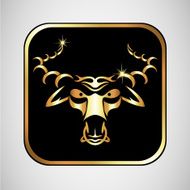 Bull N14