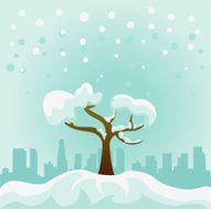 snow view
