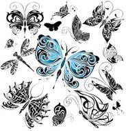 Black And White Butterflies N6