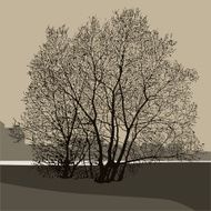 Silhouette of a tree N14