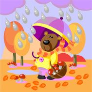 bear walks with umbrella and collects mushrooms 18