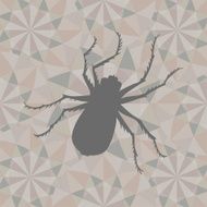 Grizzly (vector)