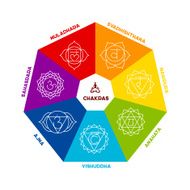 Color chakra scheme on white background