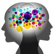 Shared Networked Minds
