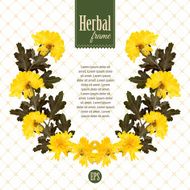 Herbarium wreath of natural yellow flowers