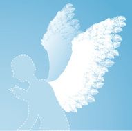 Wings N33