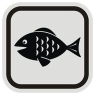 Fish Frame N6