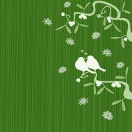 Robins and mistletoe